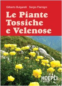 https://m.media-amazon.com/images/I/41t4xMujeJL.jpg