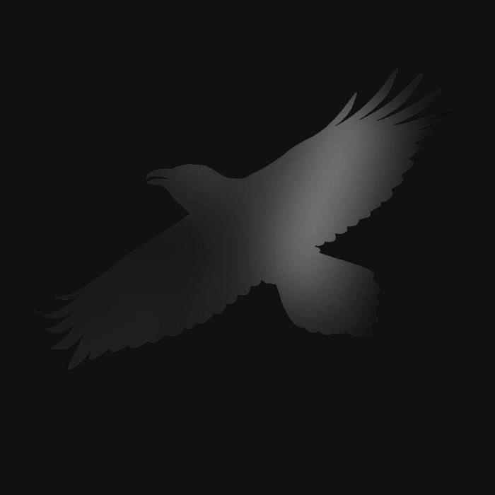 Sigur Ros - Odins Raven Magic;