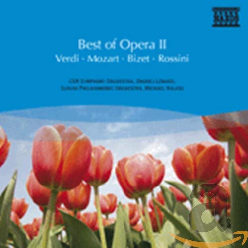 Best Of Opera II: Verdi/Mozart/Bizet/Rossini / Various;