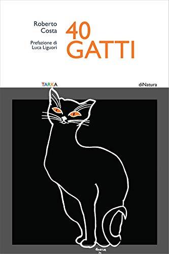 https://m.media-amazon.com/images/I/41yeGsL+tzL.jpg