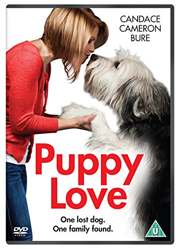 https://m.media-amazon.com/images/I/512bI612OBL.jpg