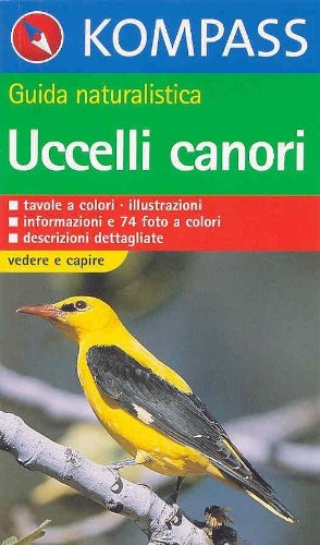 https://m.media-amazon.com/images/I/513-SP2FpdL.jpg
