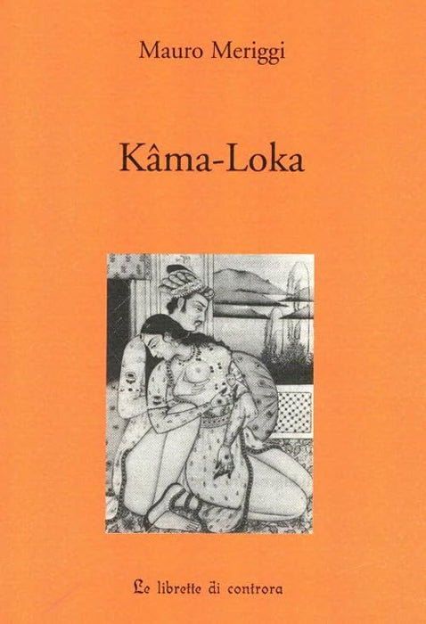 https://m.media-amazon.com/images/I/517ikma90HL.jpg