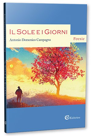 https://m.media-amazon.com/images/I/518tvFqJ71L.jpg