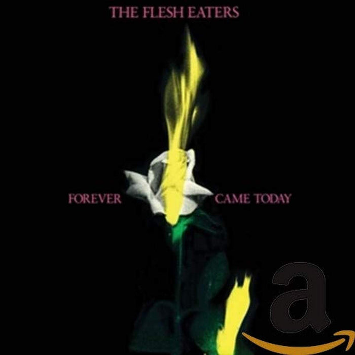 https://m.media-amazon.com/images/I/51A+odrlHdL.jpg