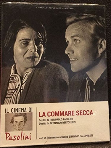 https://m.media-amazon.com/images/I/51CoaS8jReL.jpg
