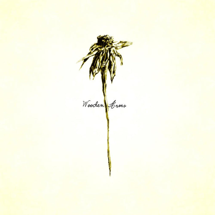 Patrick Watson - Wooden Arms;