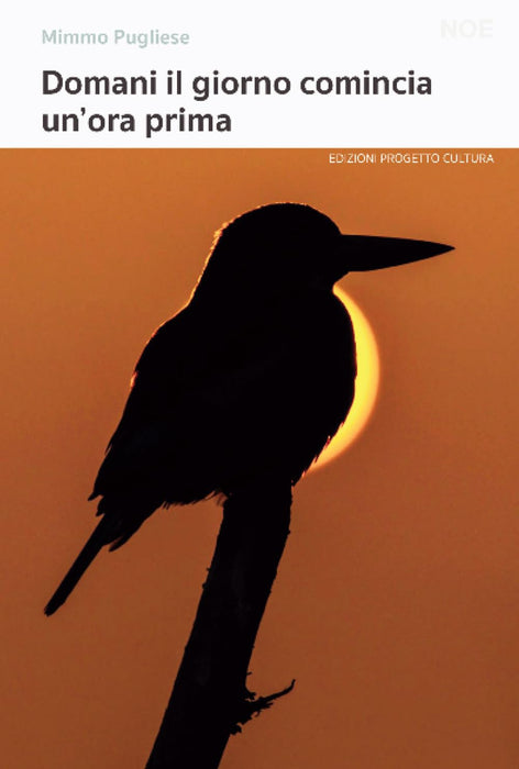 https://m.media-amazon.com/images/I/51DTYMyVSKL.jpg