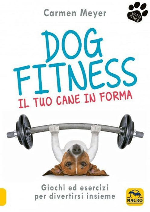 https://m.media-amazon.com/images/I/51Ef0iR9SpL.jpg