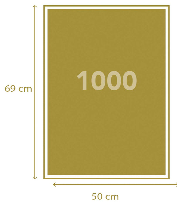 https://m.media-amazon.com/images/I/51J-rdmtjyL.jpg