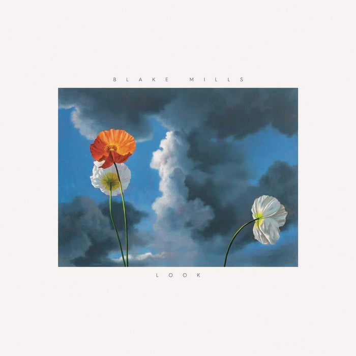 Blake Mills - Look;