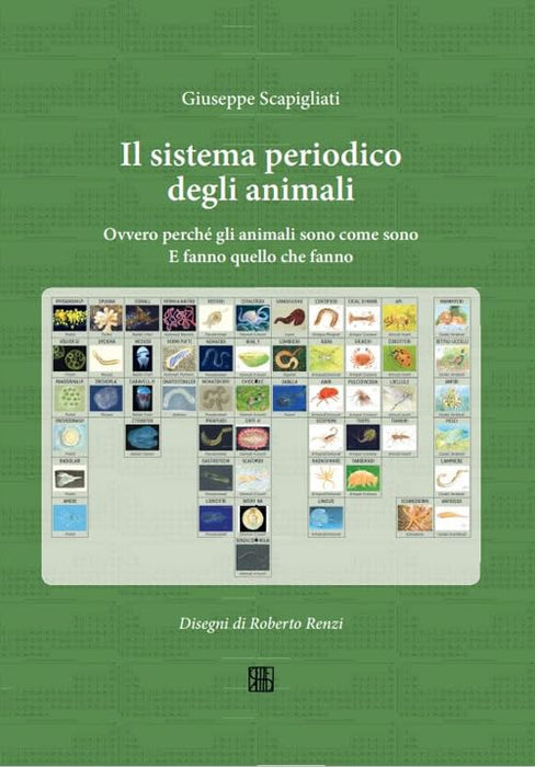 https://m.media-amazon.com/images/I/51MgrtXSoSL.jpg