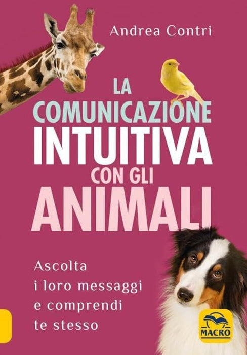https://m.media-amazon.com/images/I/51R6XoFM05L.jpg