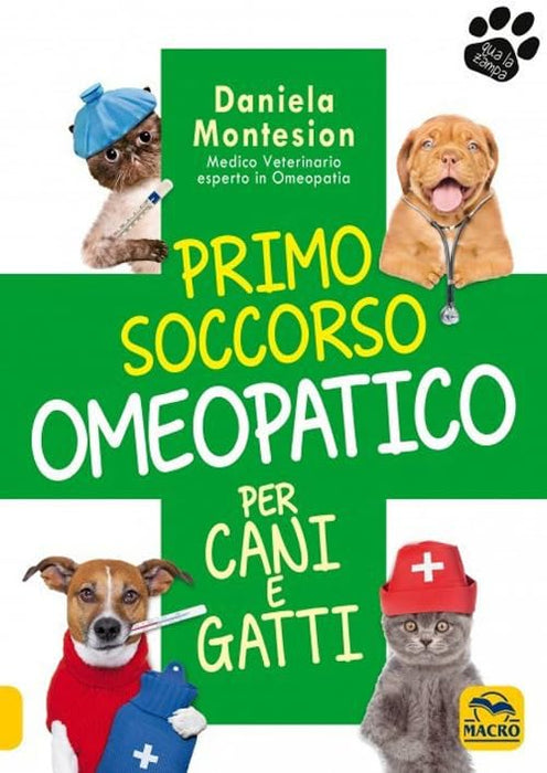 https://m.media-amazon.com/images/I/51SkIgERTuL.jpg