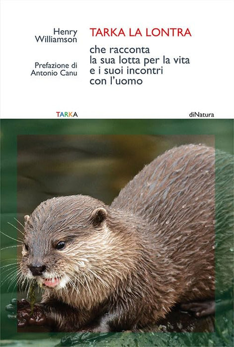 https://m.media-amazon.com/images/I/51SmZ8GSvbL.jpg