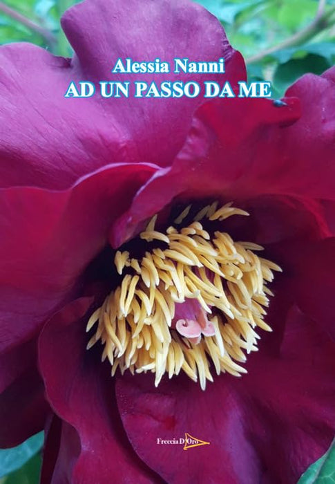 https://m.media-amazon.com/images/I/51SrH4mouyL.jpg