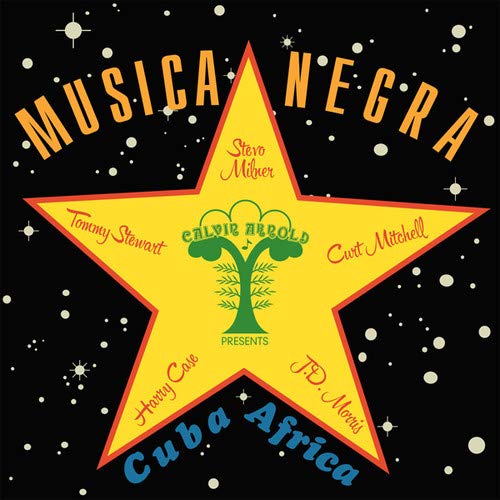 Stevo - Musica Negra;