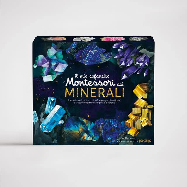 https://m.media-amazon.com/images/I/51T6yjc6z2L.jpg