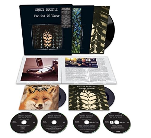 https://m.media-amazon.com/images/I/51UCbZZJDaL.jpg