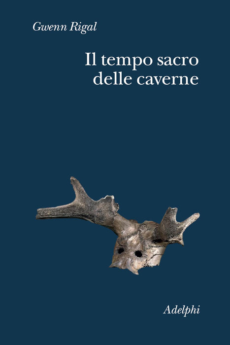 https://m.media-amazon.com/images/I/51XVqLzOHjL.jpg