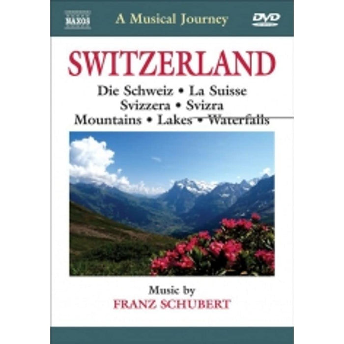 https://m.media-amazon.com/images/I/51XdBxngOjL.jpg