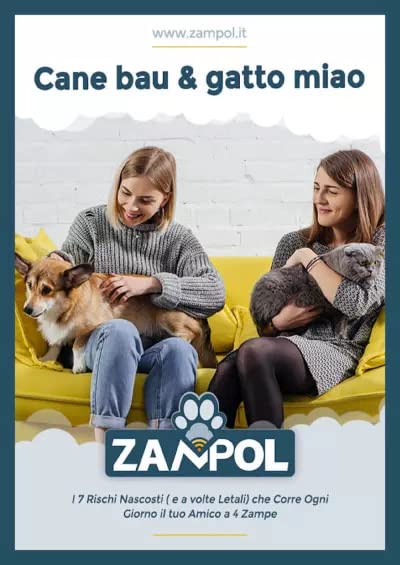 https://m.media-amazon.com/images/I/51YxgLYeOXL.jpg