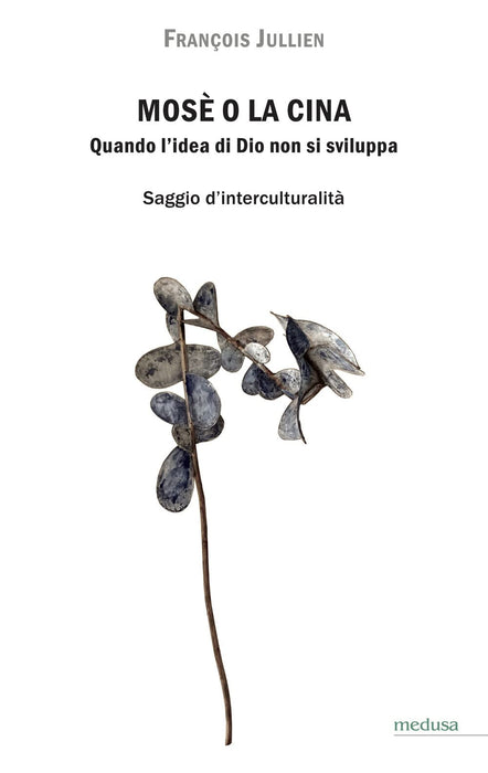 https://m.media-amazon.com/images/I/51+arGabwXL.jpg