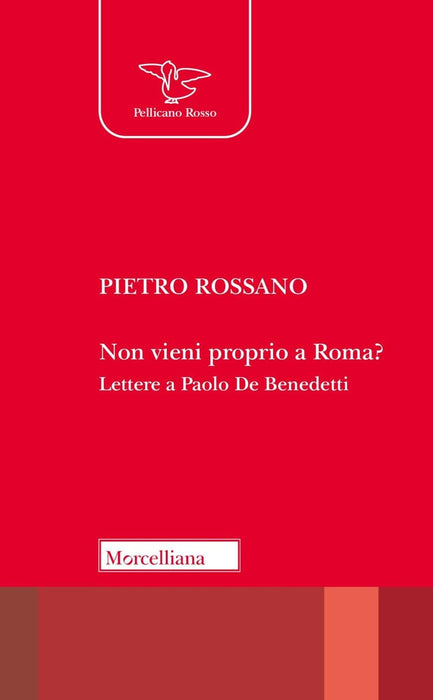 https://m.media-amazon.com/images/I/51aHCh+eUpL.jpg