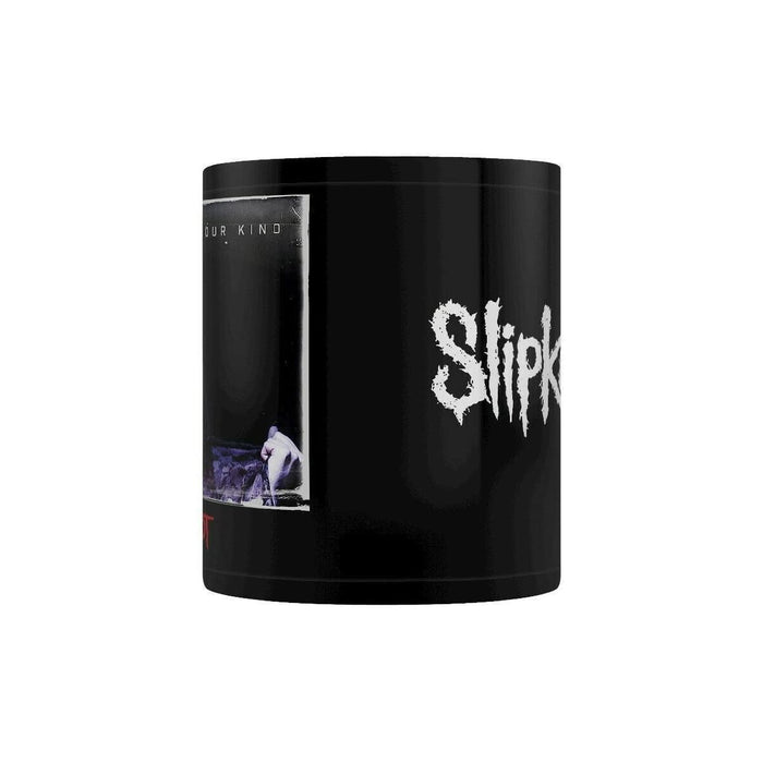 https://m.media-amazon.com/images/I/51cXW5WADxL.jpg