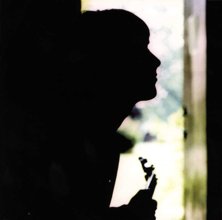 Paul Weller - Wild Wood;