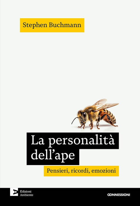 https://m.media-amazon.com/images/I/51dSCq8EUkL.jpg