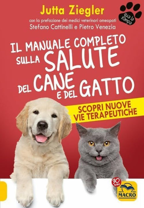 https://m.media-amazon.com/images/I/51e8kqmHJCL.jpg