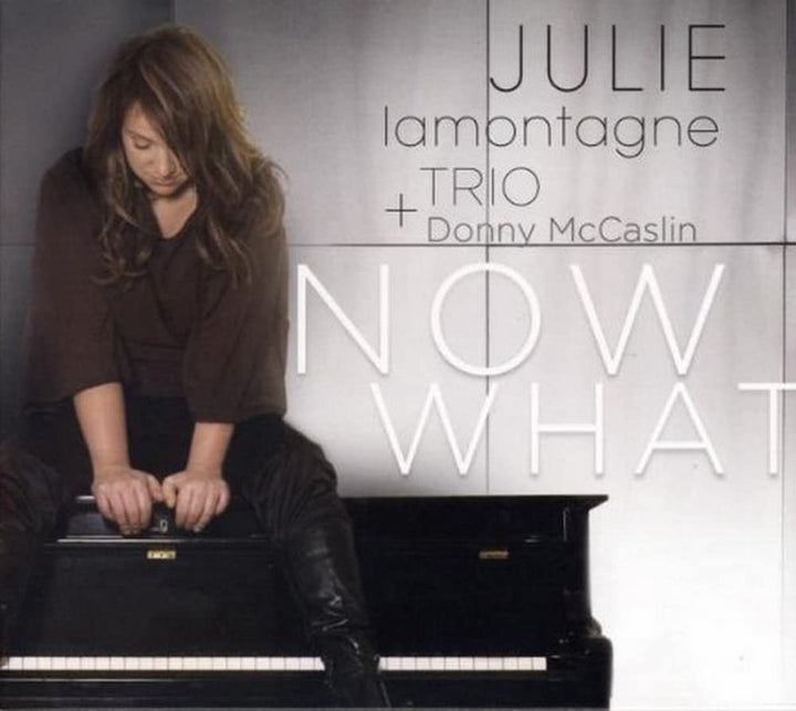 Julie Lamontagne + Donny Mccaslin Trio - Now What;