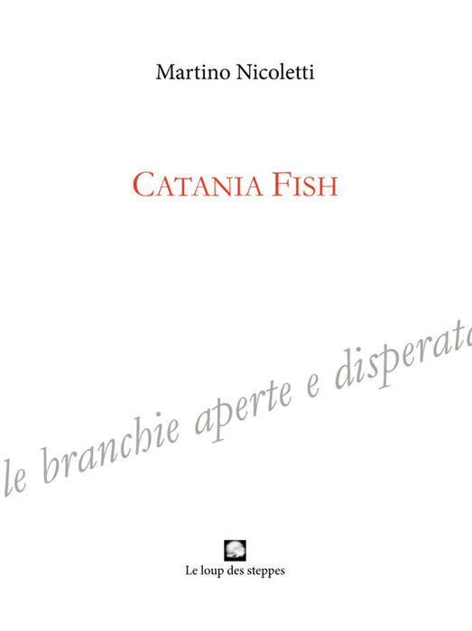 https://m.media-amazon.com/images/I/51e+03pXZjL.jpg