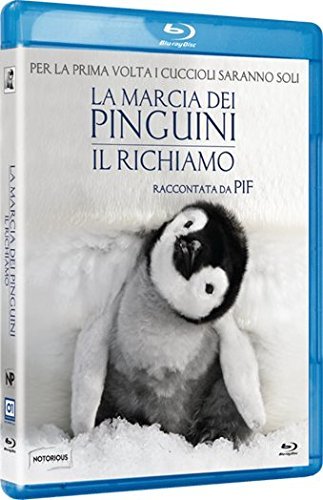 https://m.media-amazon.com/images/I/51fDZxhQcFL.jpg