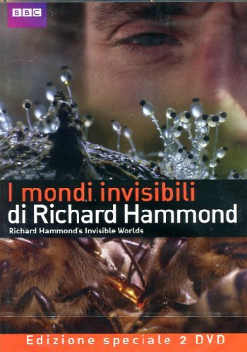 https://m.media-amazon.com/images/I/51hNlJKljaL.jpg