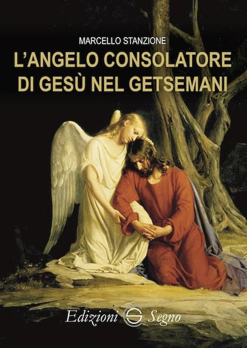 https://m.media-amazon.com/images/I/51hQKbUH7LL.jpg