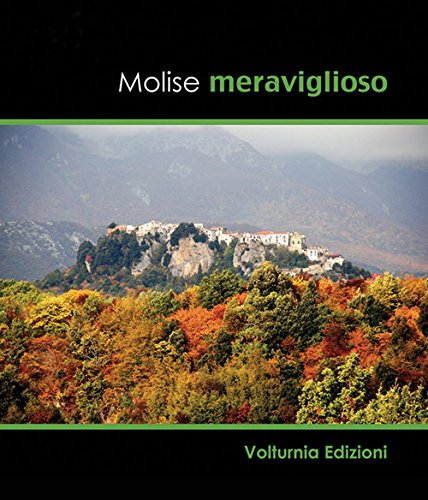 https://m.media-amazon.com/images/I/51jFLB5ZDXL.jpg
