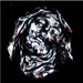 https://m.media-amazon.com/images/I/51jHXwtK8WL.jpg