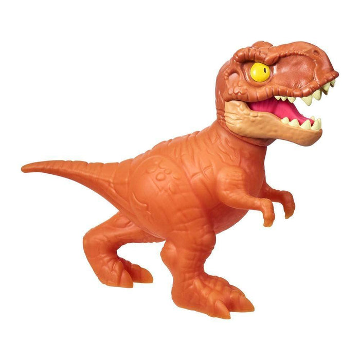 https://m.media-amazon.com/images/I/51jfcjBxlOL.jpg
