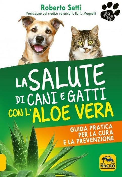 https://m.media-amazon.com/images/I/51ktwEVqXuL.jpg