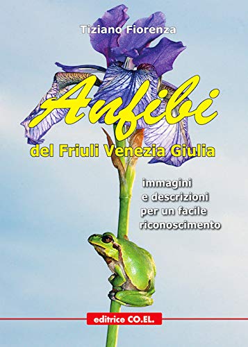 https://m.media-amazon.com/images/I/51lYS1Kw1jL.jpg