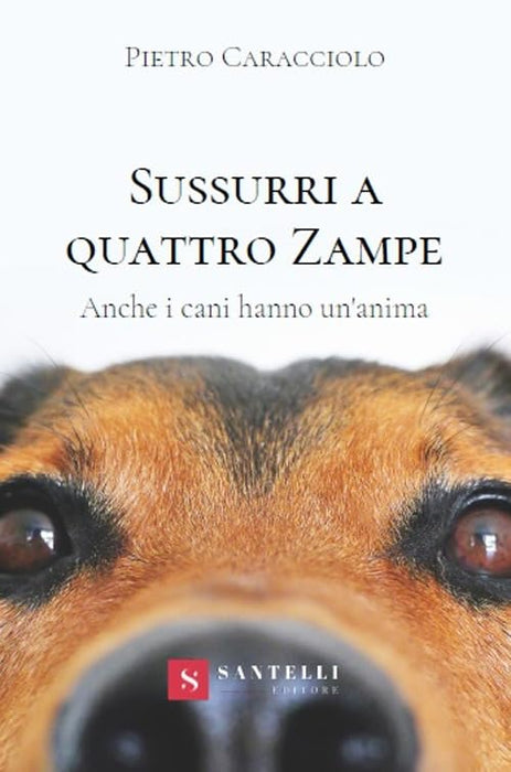 https://m.media-amazon.com/images/I/51npJjXAjtL.jpg