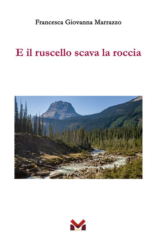 https://m.media-amazon.com/images/I/51o+UvFXZxL.jpg