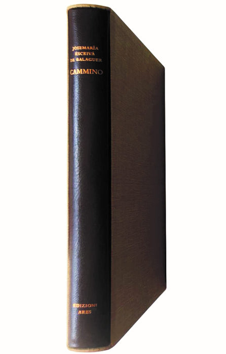 https://m.media-amazon.com/images/I/51r05yUfG6L.jpg
