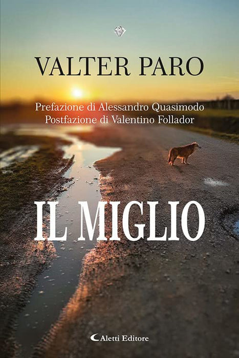 https://m.media-amazon.com/images/I/51vSKJ-Q+QL.jpg