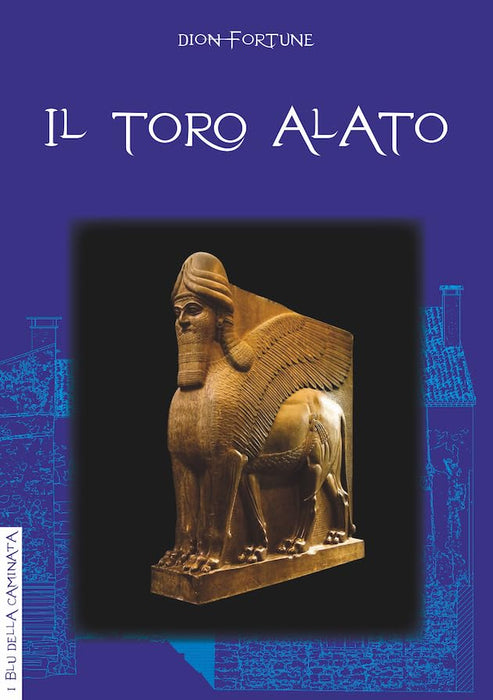 https://m.media-amazon.com/images/I/51wDKgA8CML.jpg