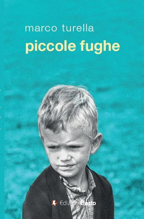 https://m.media-amazon.com/images/I/51wmSf+2FZL.jpg
