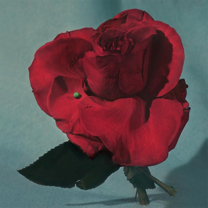 https://m.media-amazon.com/images/I/51xN4uf2xPL.jpg