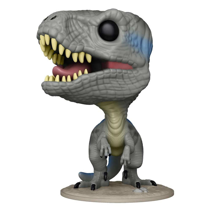 https://m.media-amazon.com/images/I/51xOamKBCdL.jpg